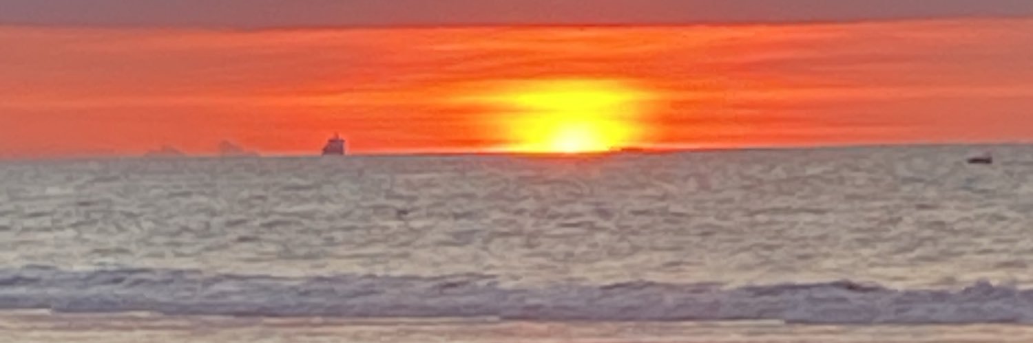 Fausto Ortiz D banner