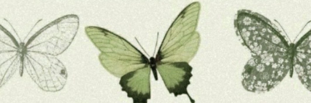 MorganMullholan's profile banner image