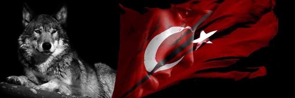 mkursatceylan's profile banner image