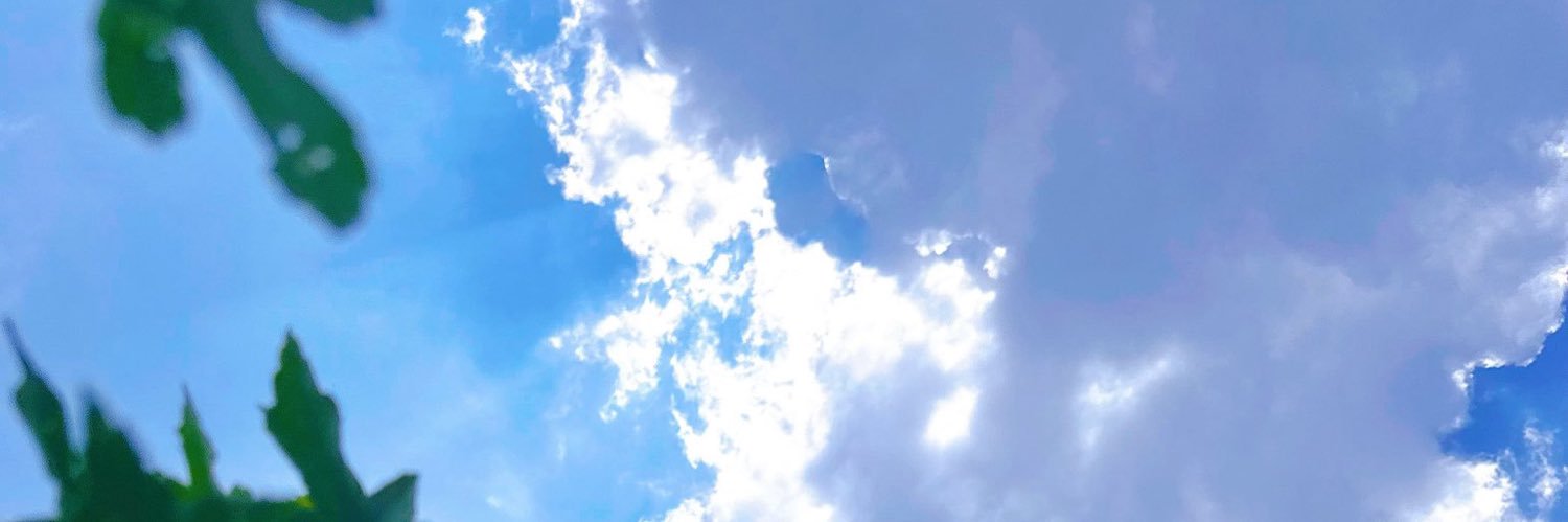 Erika_H04's profile banner image