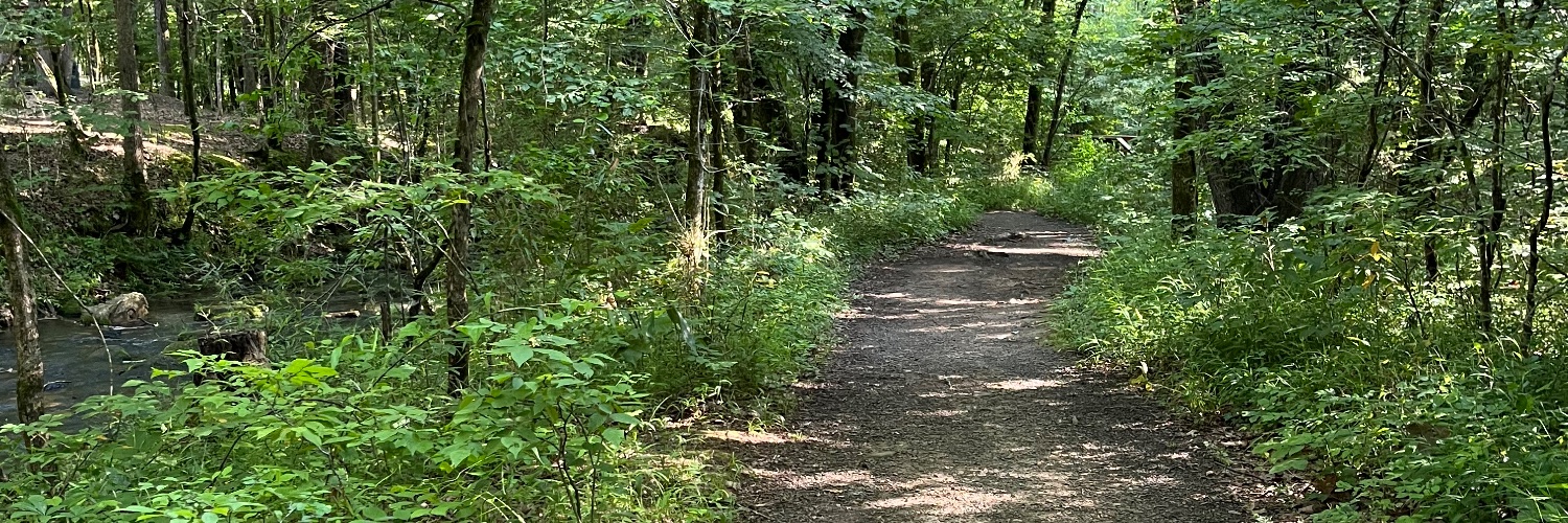 Betül banner