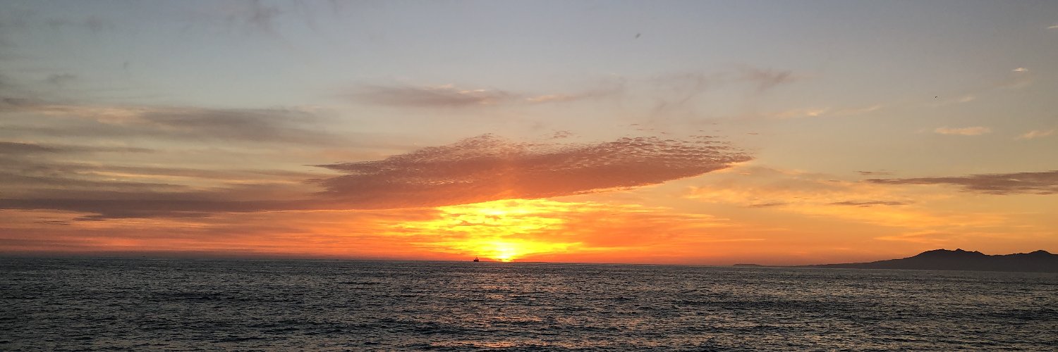 nicoledagher46's profile banner image