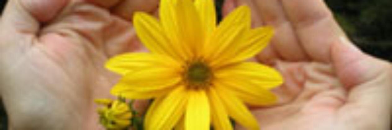 Martas64's profile banner image
