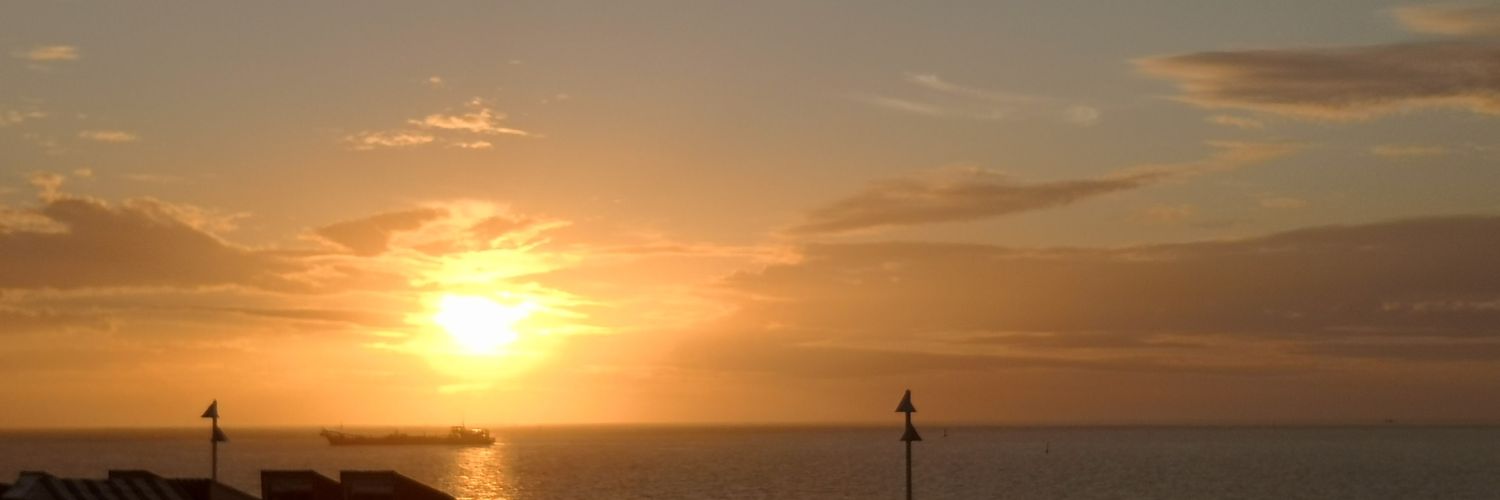 terrorbobby's profile banner image