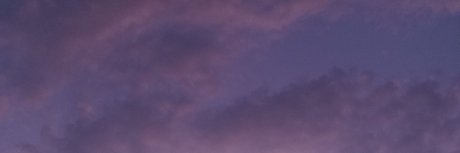 evvelync_'s profile banner image