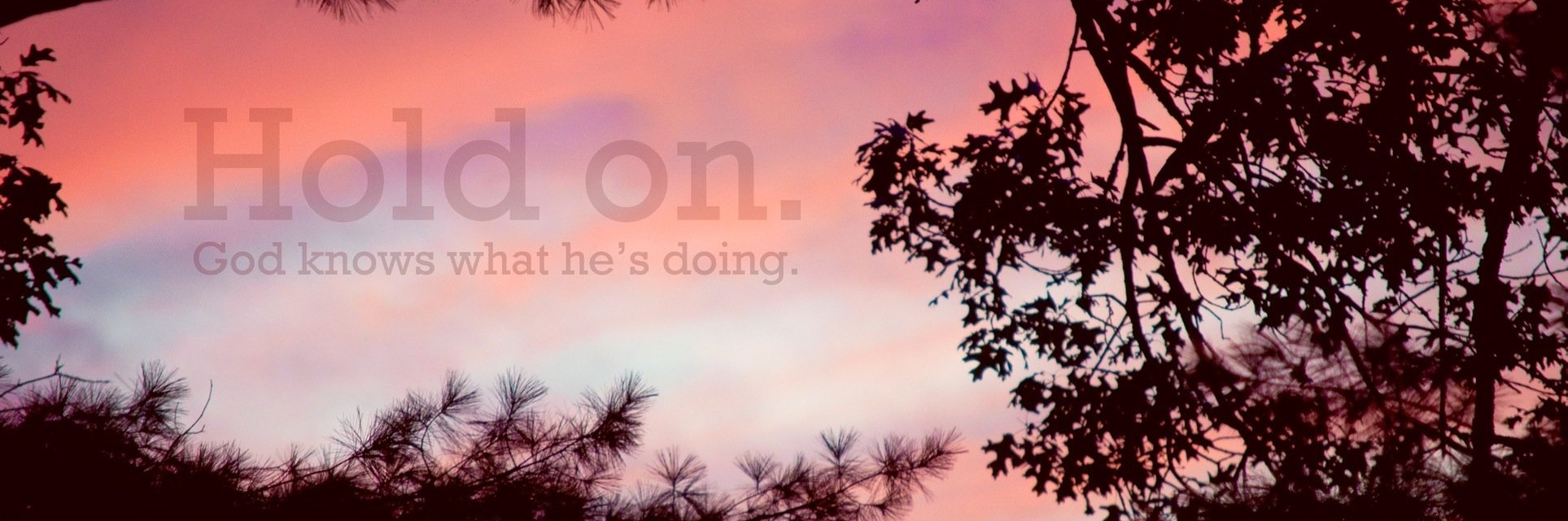 vellindong's profile banner image