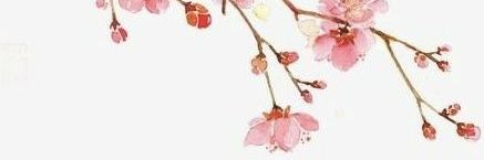 Lilly Bo banner