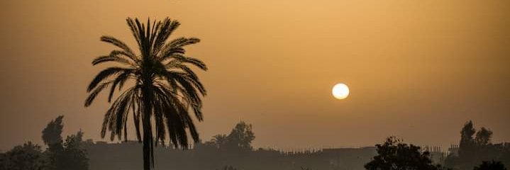 alaaeldeb558's profile banner image