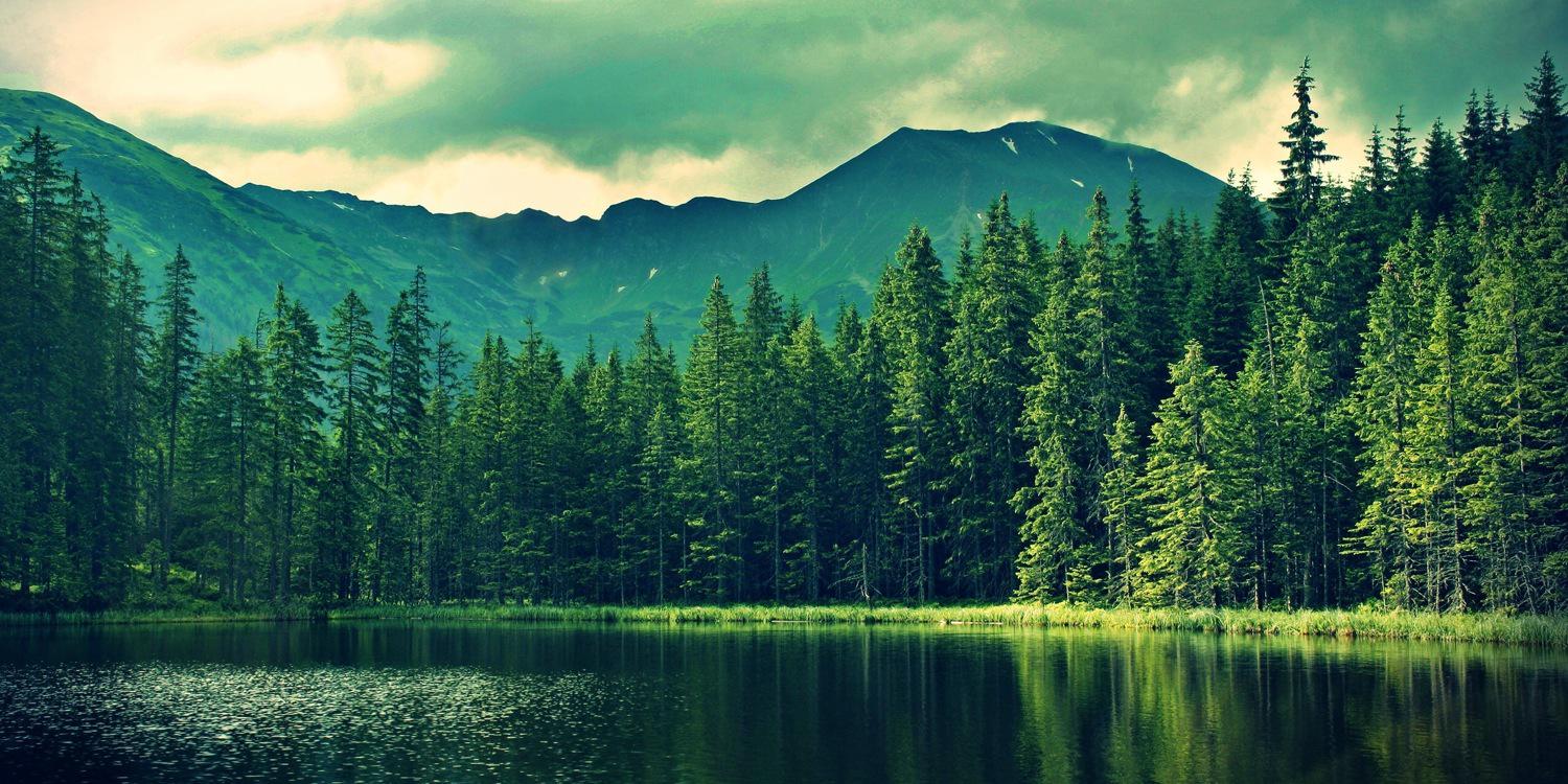 MiddIemist's profile banner image
