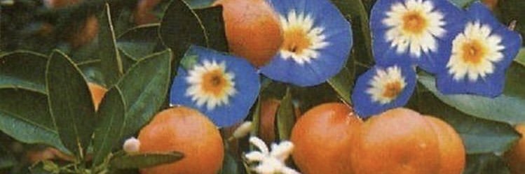 kitkatjimme's profile banner image