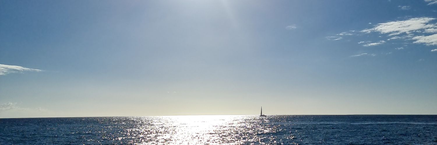 bercua2011's profile banner image