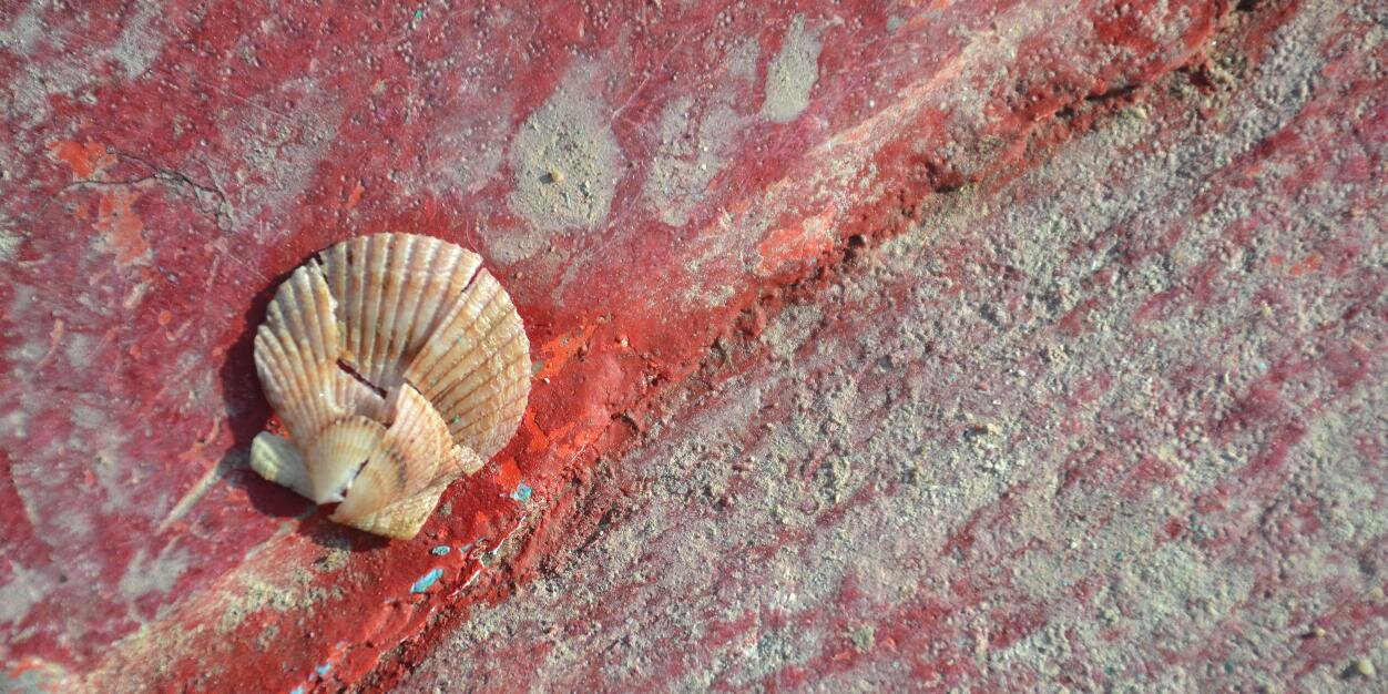 Global Ocean Health banner