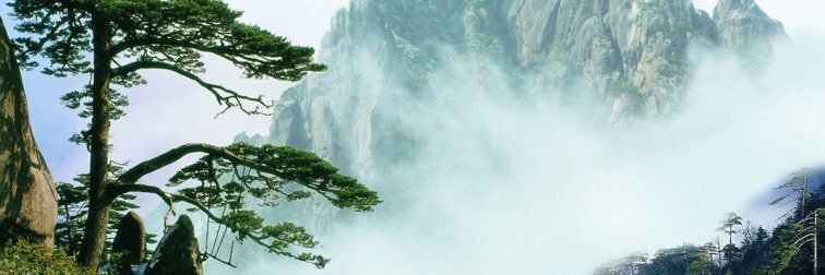 OfficialWutang's profile banner image