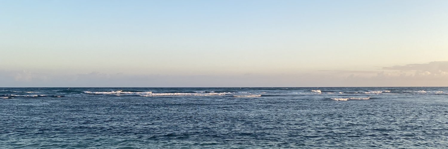 Renzzz___'s profile banner image