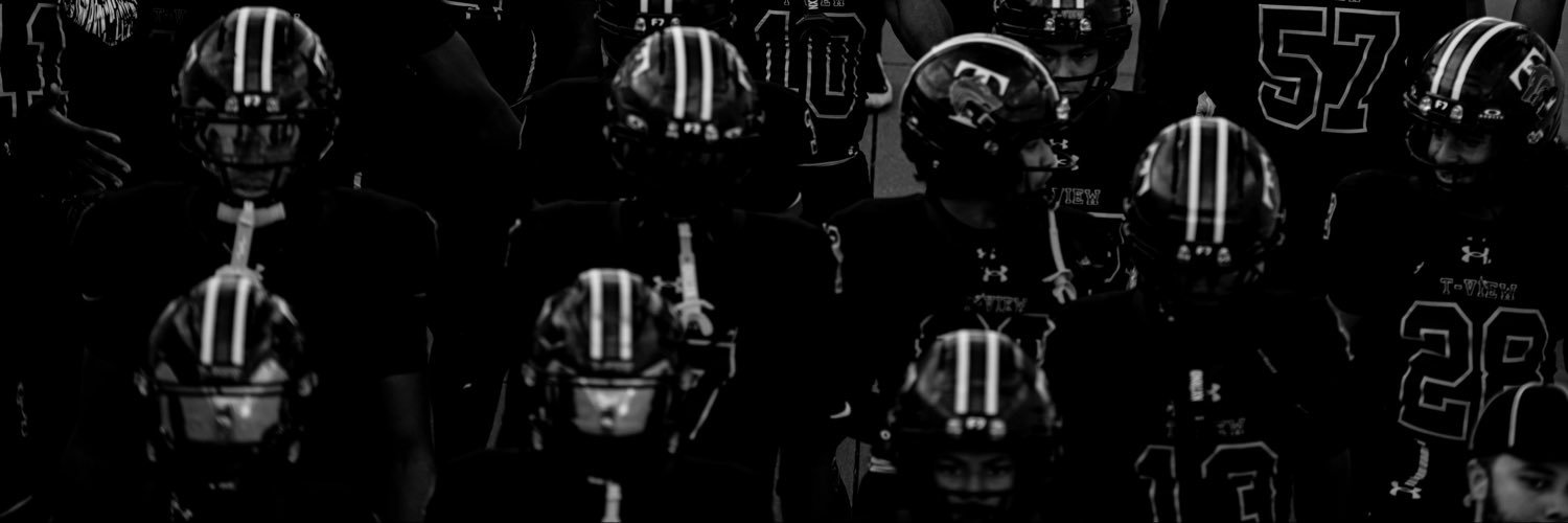 TViewWolves's profile banner image