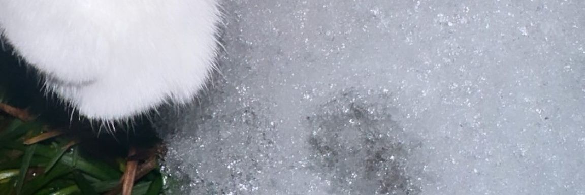 binzu_Time_Left's profile banner image