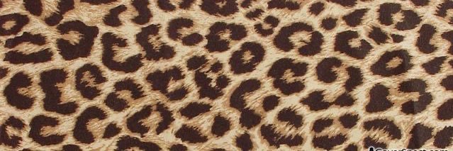 Kelsey_IL's profile banner image