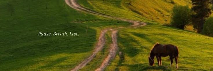 Sofía🇺🇾🦋 banner