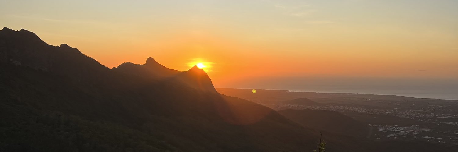 Ryan Fitzgerald banner