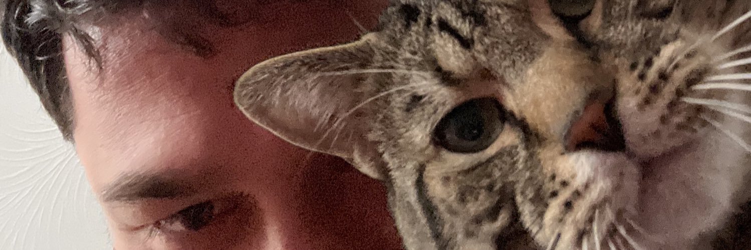 ZickSayed's profile banner image