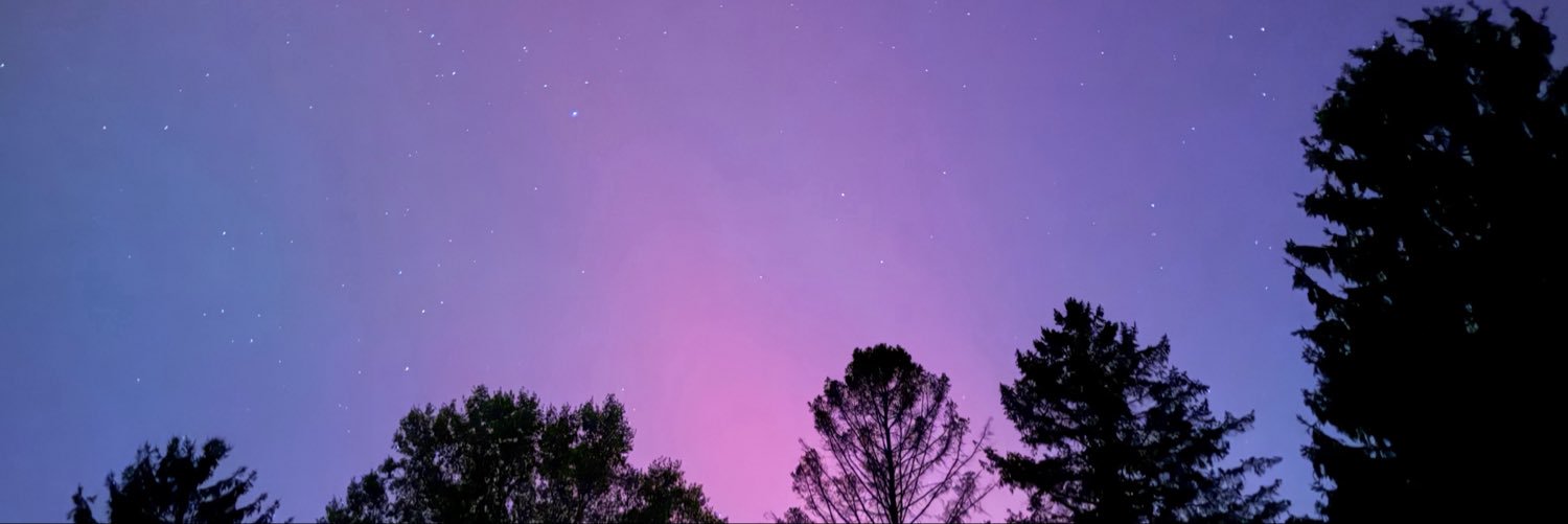 reesh_renee's profile banner image