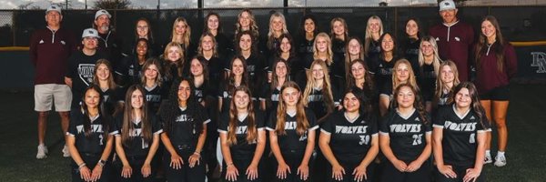 DMHSSoftball Profile Banner