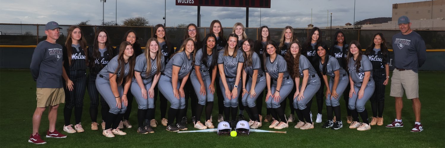 Desert Mountain High School Softball banner