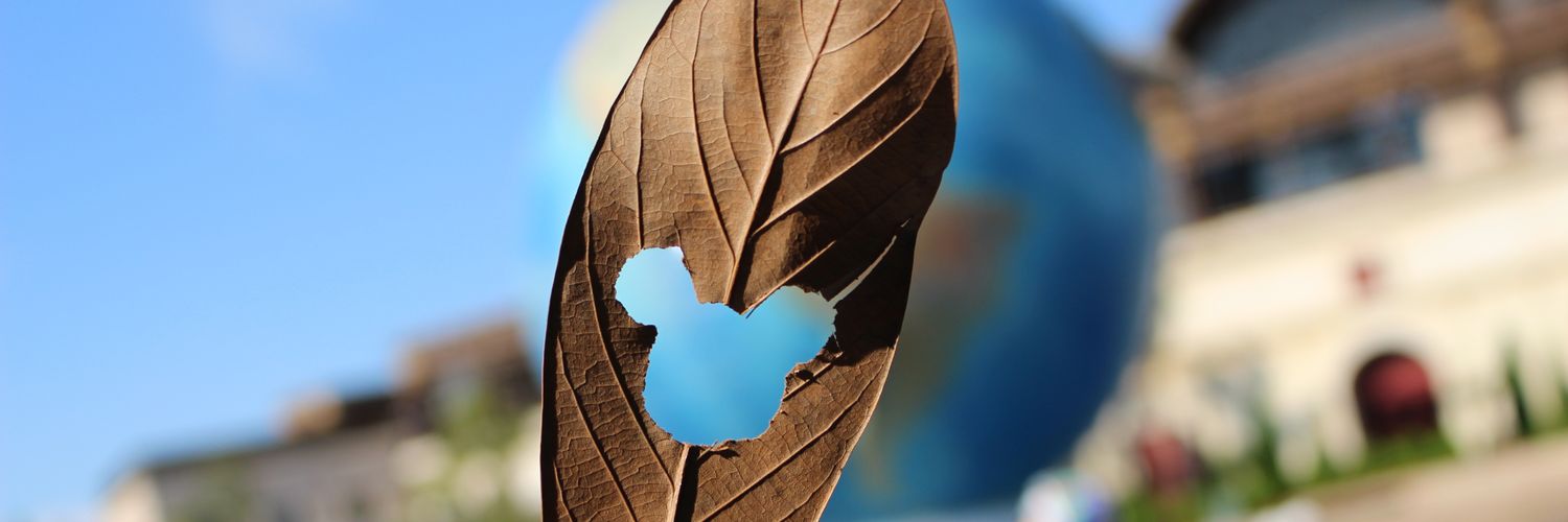 VeryVery_Daisy's profile banner image