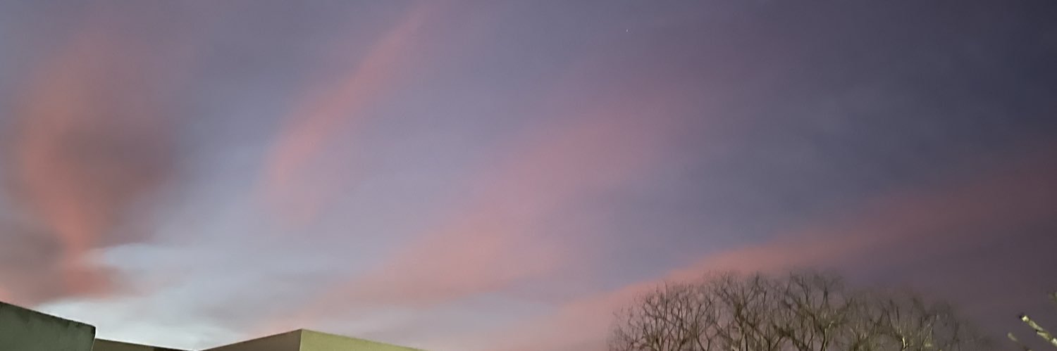 MeelSchenk's profile banner image
