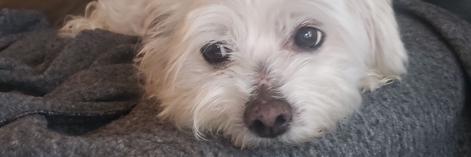 robertmason86 banner