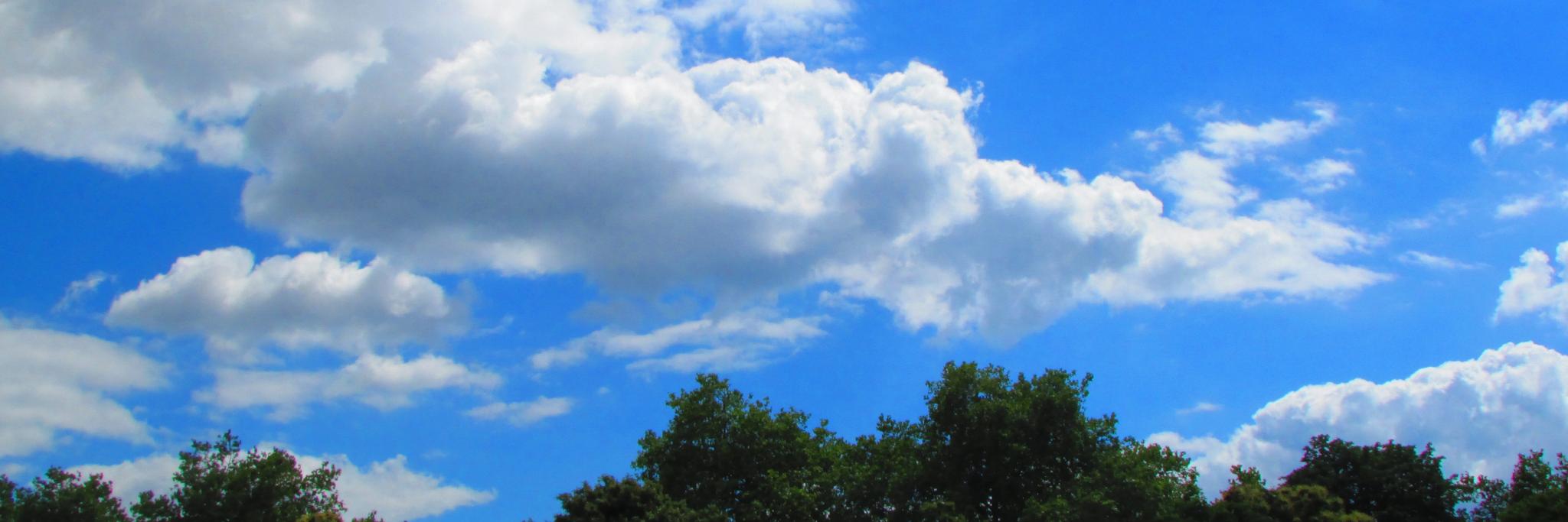 DaanGP14's profile banner image
