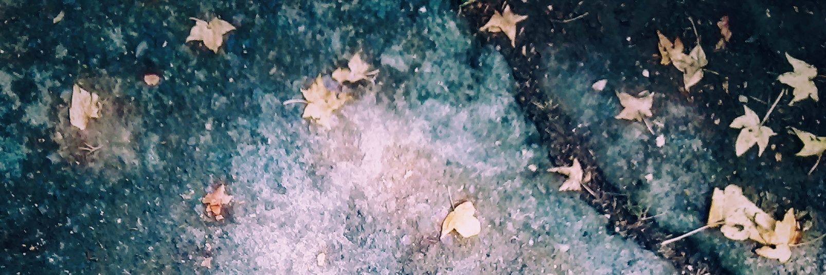 Sando (Luis Sandoval) banner