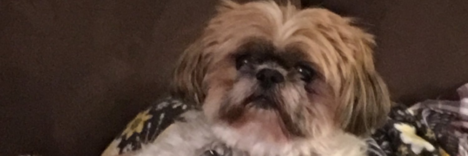 trikuc's profile banner image