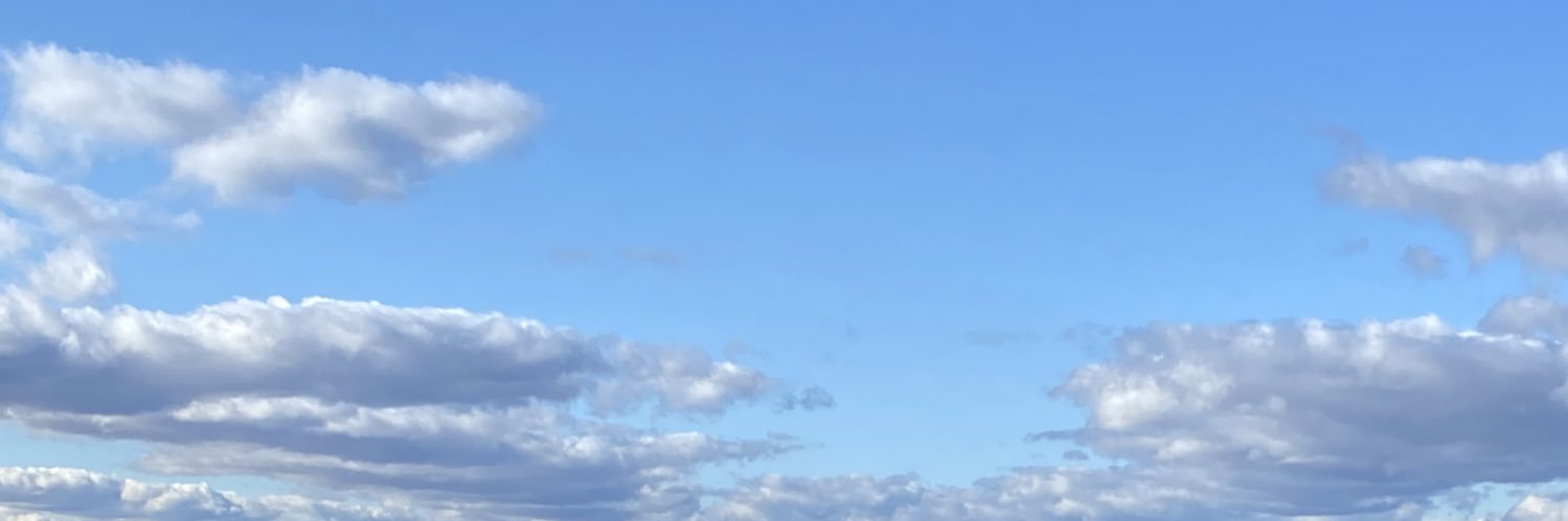 delsileigh's profile banner image
