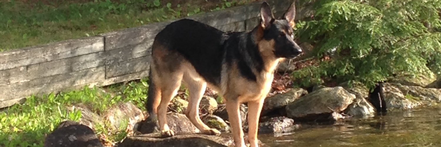 Steeleink's profile banner image