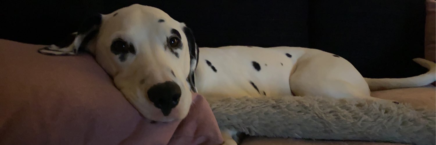 Amelia banner
