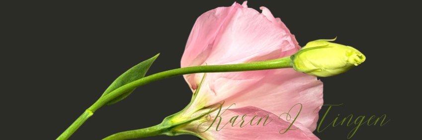 karentingen's profile banner image