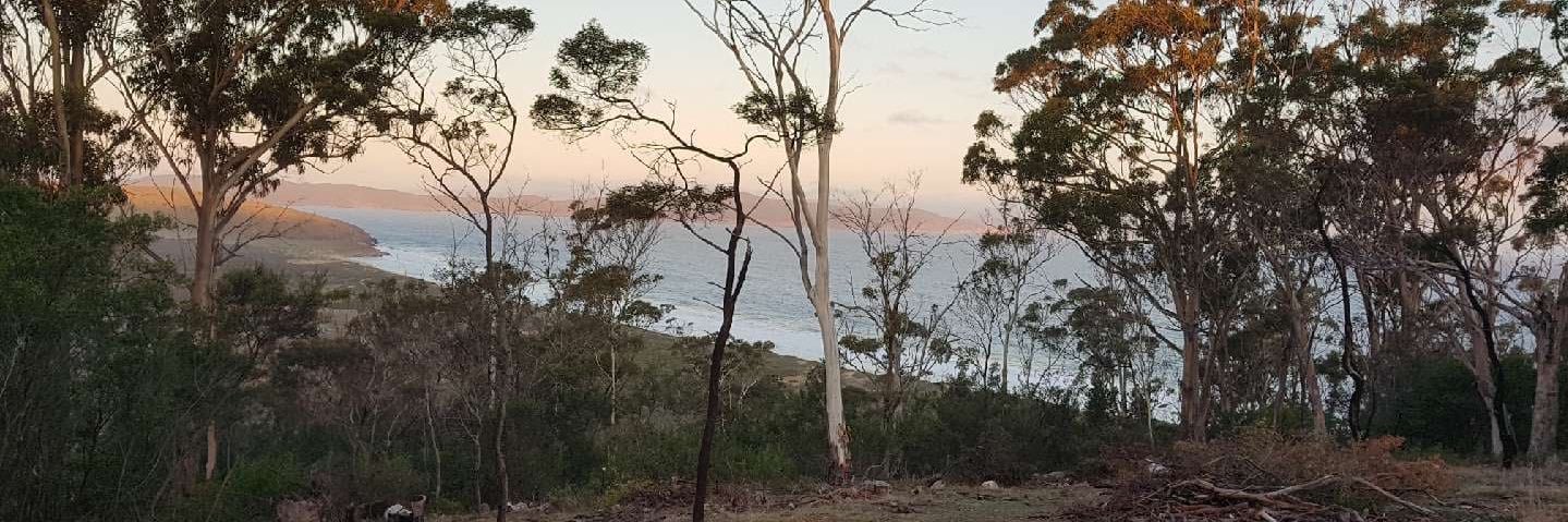 Cleo Hansen-Lohrey banner