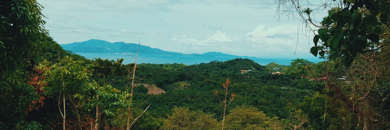 Chrstnatin's profile banner image