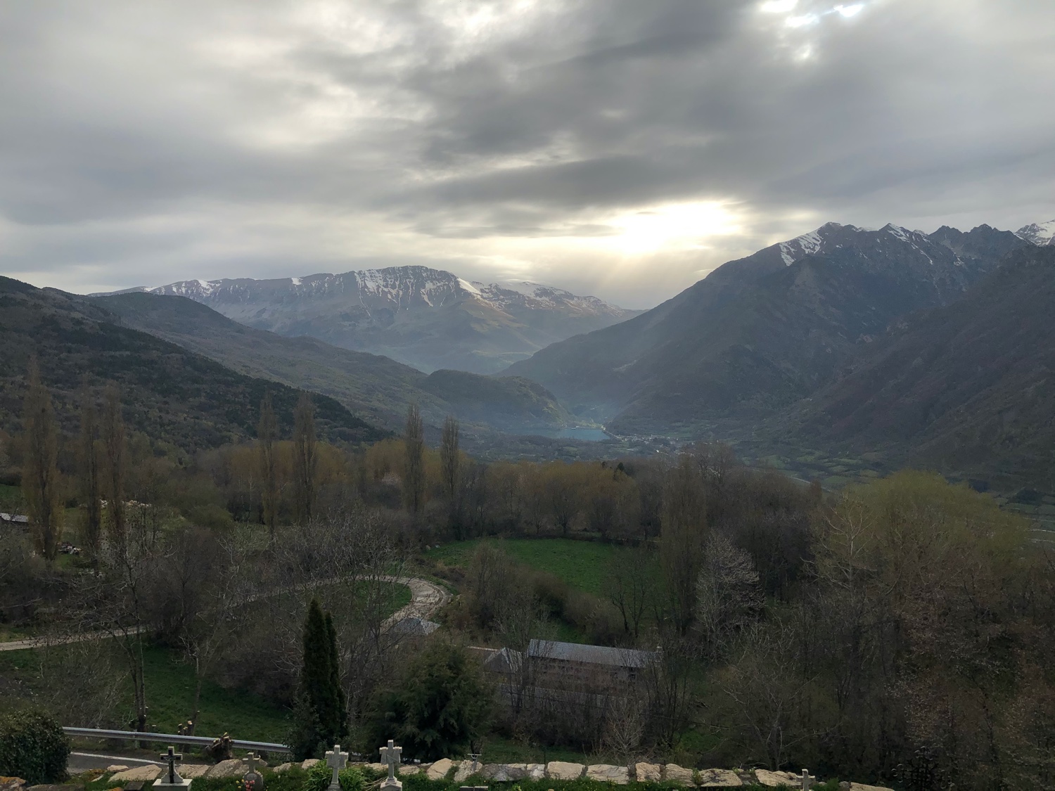 Raquel Puértolas banner