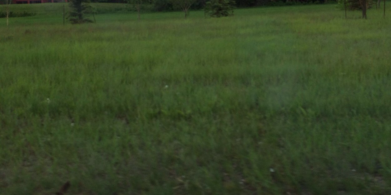 JeremyYeg's profile banner image