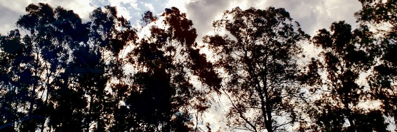 empaticxz's profile banner image