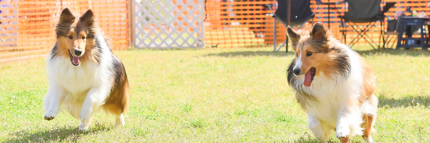 summer_jonny's profile banner image