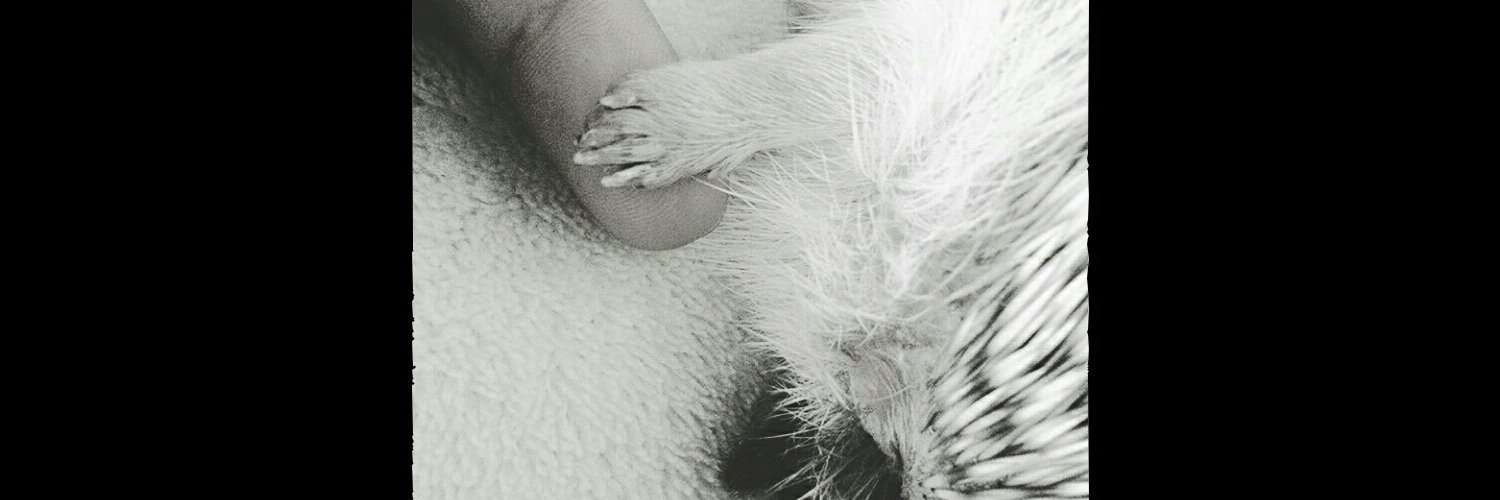 hoseokaiser's profile banner image