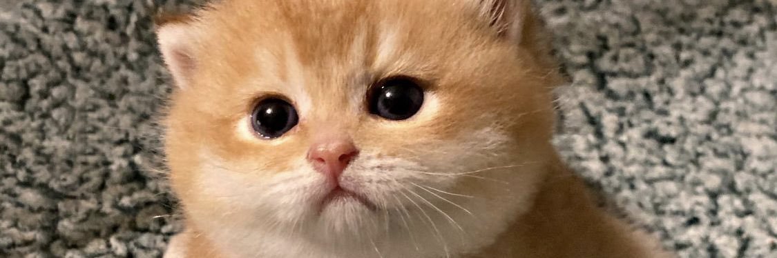 intanrach_'s profile banner image