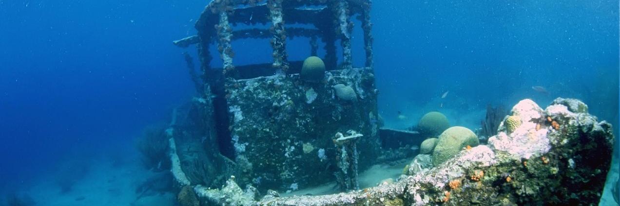 طلال الجديبي banner