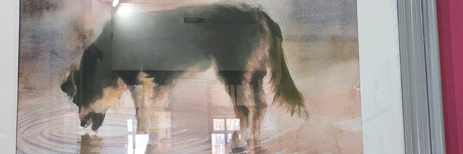 espe1009's profile banner image
