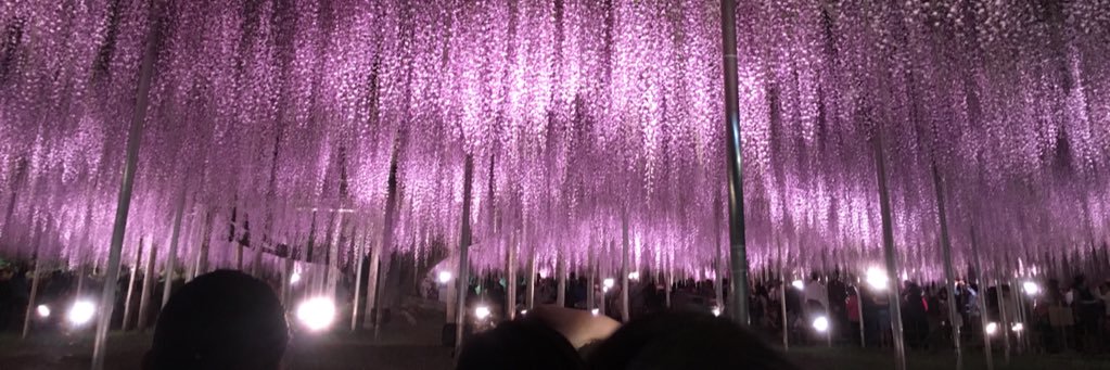 虹🌈☺︎初マタ9Ⓜ︎🦖 banner