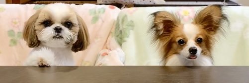 eri913310's profile banner image