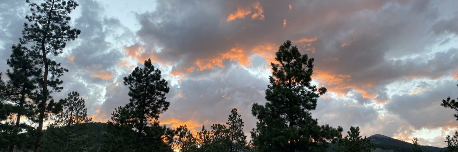 KarliAdams_'s profile banner image